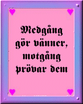 Medg&aring;ng g&ouml;r v&auml;nner ...