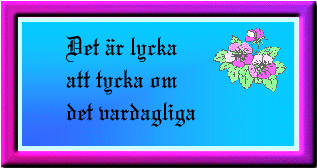 Det &auml;r lycka ...