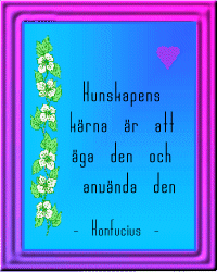 Kunskapens k&auml;rna &auml;r ...