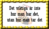 Det viktiga &auml;r ...