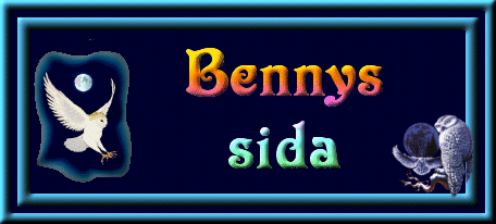 Bennys sida