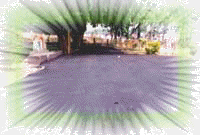 newRoad.JPG (11771 bytes)