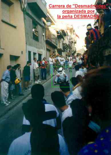 desmadroides75.jpg (16430 bytes)