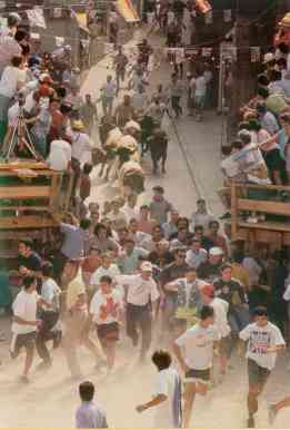 encierrofrontal50.jpg (11507 bytes)