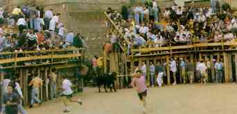 encierrolateral50.jpg (8345 bytes)