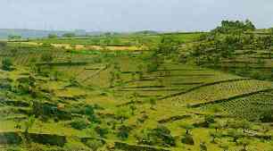 fermoselle2.jpg (6664 bytes)