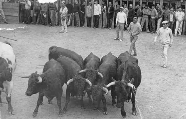 vieja3.jpg (21673 bytes)