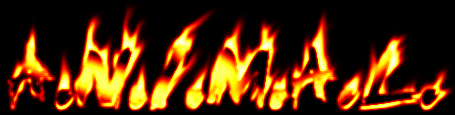 A.N.I.M.A.L.
