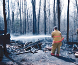 The aftermath of a city council picnic