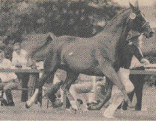 Lotus Word Pro 9 Document