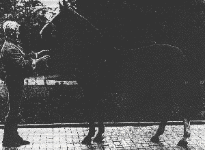 Lotus Word Pro 9 Document