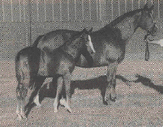 Lotus Word Pro 9 Document