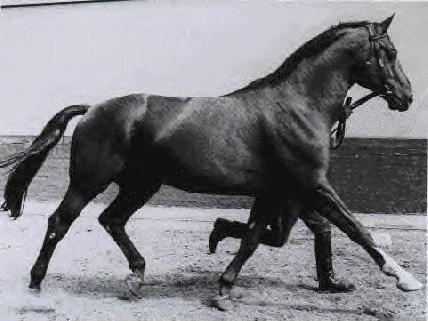 Lotus Word Pro 9 Document