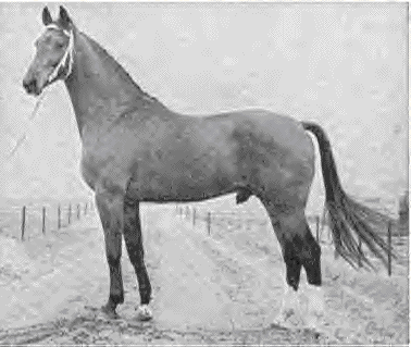 Lotus Word Pro 9 Document