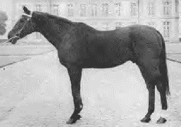 Lotus Word Pro 9 Document