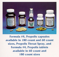 form4.jpg (51741 bytes)