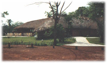 aquario.jpg (22548 bytes)