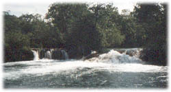 formoso1.jpg (14791 bytes)