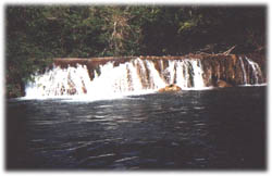 formoso2.jpg (14917 bytes)