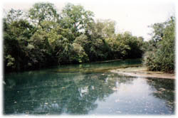 formoso3.jpg (18352 bytes)