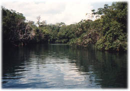 formoso4.jpg (17638 bytes)