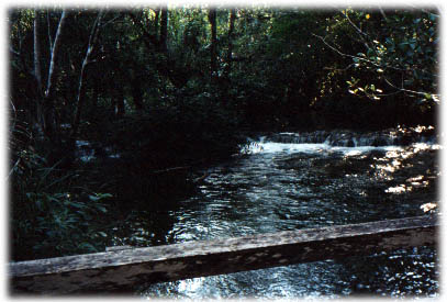 ilhapadr.jpg (39891 bytes)