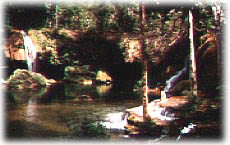 mimoso1.jpg (20613 bytes)