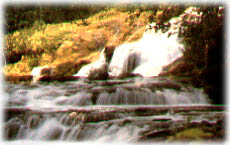 peixe1.jpg (18925 bytes)