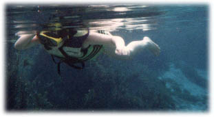 prata.jpg (15244 bytes)