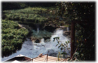 sucuri4.jpg (28521 bytes)