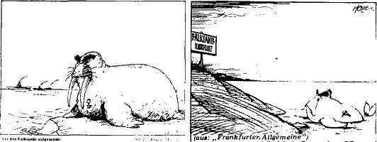 Die Russen vor Falkland