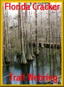 cypress swamp