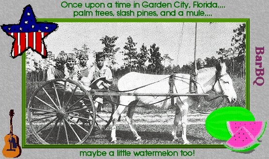 mule pulling a cart, guitar and watermelons