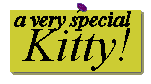 a very special kitty