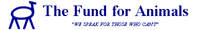 fund.gif (2395 bytes)