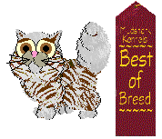 Best of Breed - Chris