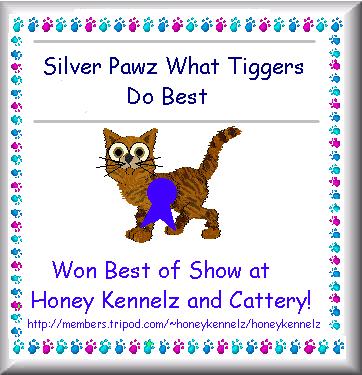 Best in Show - Tigger