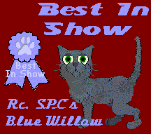 Best in Show - Blue
