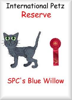 Second Place - Blue