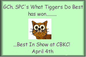 Best in Show - Tigger