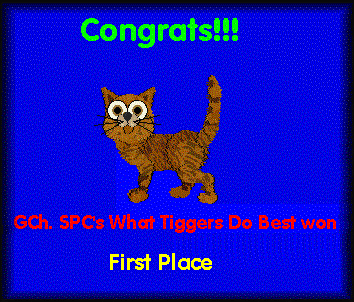 First Place - Tigger