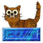 Honorable Mention - Tigger