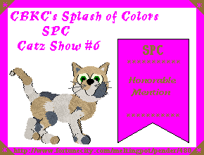 Splash-Honorable Mention