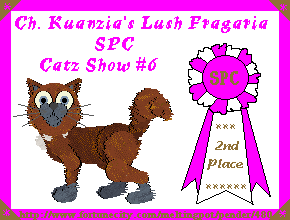 Strawberry-2nd Place