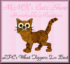 Honorable Mention - Tigger