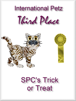Third Place - Trixie