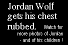 Jordan text