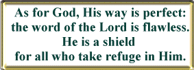 God's way is perfect. His Word is flawless. He is a shield for all who take refuge in him.