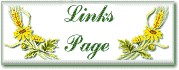 Return To The Main Links Page
