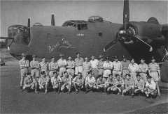 b24blackswansmall.jpg (14320 bytes)